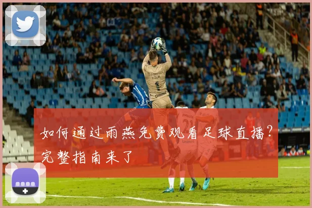如何通过雨燕免费观看足球直播？完整指南来了