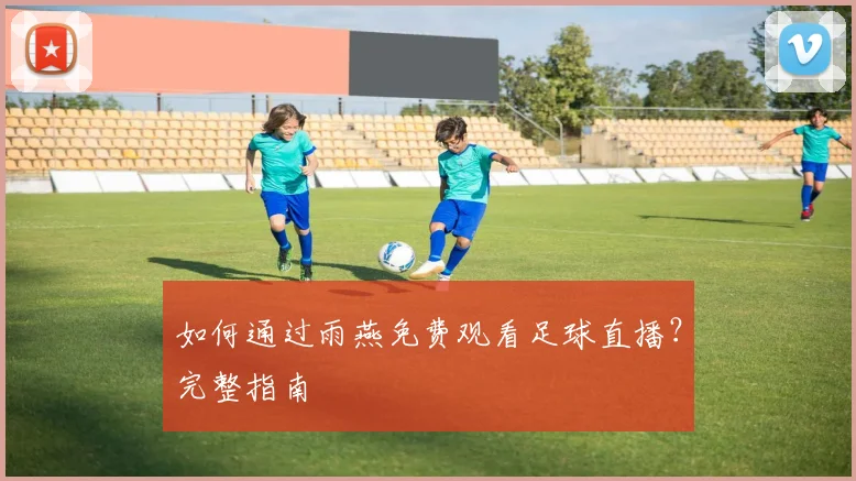 如何通过雨燕免费观看足球直播？完整指南